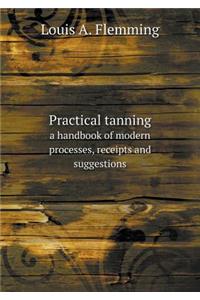 Practical Tanning a Handbook of Modern Processes, Receipts and Suggestions