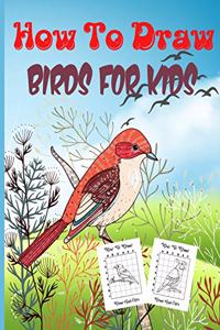 How To Draw Birds For Kids