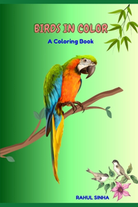 Birds in Color