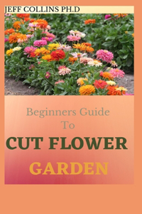Beginners Guide To CUT FLOWER GARDEN