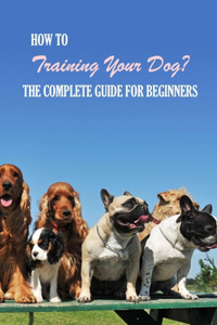 How To Training Your Dog?