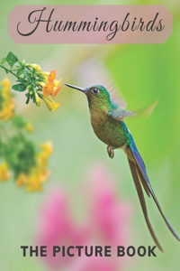 Hummingbirds