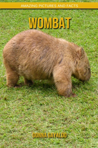 Wombat