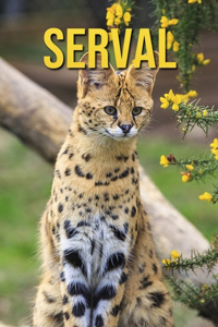 Serval