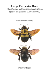 Large Carpenter Bees