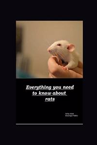 Everything you need to know about rats