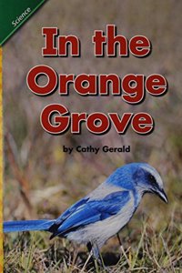 Reading 2008 Concept Literacy Leveled Reader Grade K.2.2 in the Orange Grove