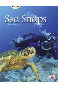 Bug Club Independent Non Fiction Year 1 Green A Sea Snaps
