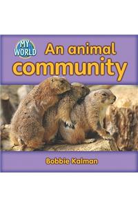 Animal Community