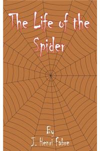 Life of the Spider
