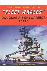 Fleet Whales Doug A-3 Skywarrior Pt. 2