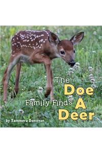 Doe Family Finds a Deer
