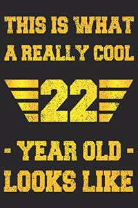 A Really Cool 22 Year Old