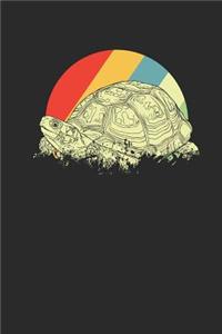 Turtles