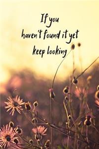 If You Haven't Found It Yet Keep Looking