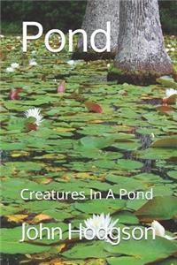 Pond