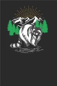 Racoon Drawing