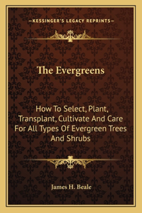 Evergreens