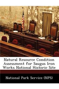 Natural Resource Condition Assessment for Saugus Iron Works National Historic Site