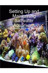 Setting Up and Maintaining Saltwater Aquariums: An Essential Guide for Beginners