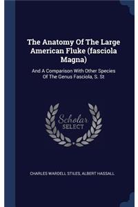 The Anatomy Of The Large American Fluke (fasciola Magna)