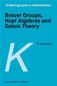 Brauer Groups, Hopf Algebras and Galois Theory