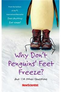 Why Don't Penguins' Feet Freeze?