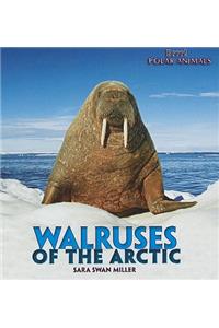 Walruses of the Arctic