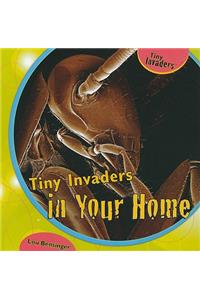 Tiny Invaders in Your Home