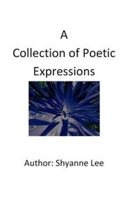 Collection of Poetic Expressions