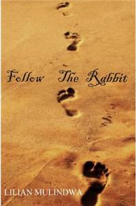 Follow The Rabbit