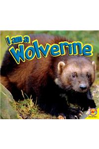 I Am a Wolverine