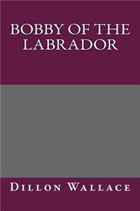 Bobby of the Labrador