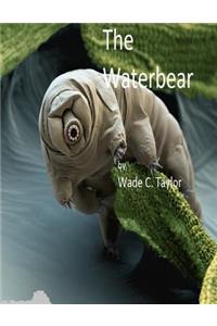 The Waterbear