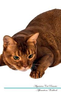 Abyssinian Cat Affirmations Workbook Abyssinian Cat Presents