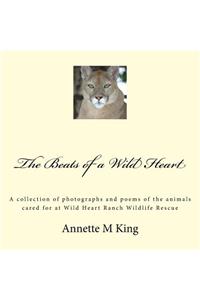 The Beats of a Wild Heart