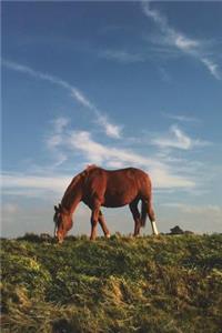 Brown Horse Grazing Journal