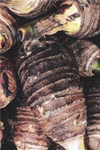 Taro Roots Journal