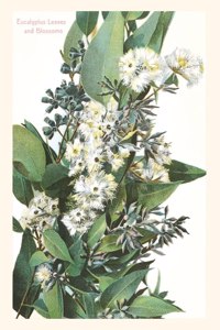 Vintage Journal Eucalyptus Blossoms