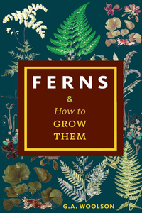 Ferns & How to Grow Them