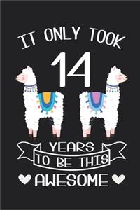 It Only Took 14 Years to be this Awesome
