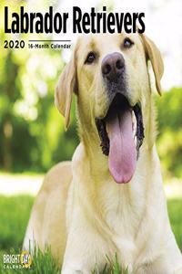LABRADOR RETRIEVERS CALENDAR 2020
