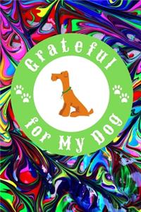 Grateful for My Dog