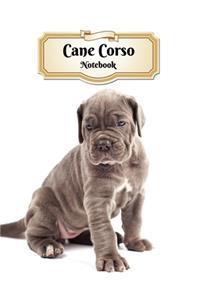 Cane Corso Notebook