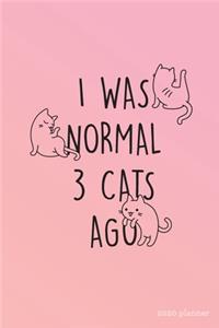 I Was Normal 3 Cats Ago 2020 Planner