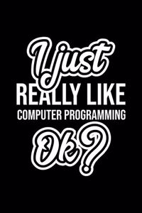 I Just Really Like Computer Programming Ok?