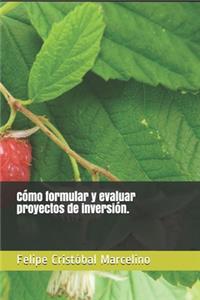 Cómo formular y evaluar proyectos de inversión.