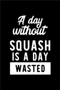 A Day Without Squash Is A Day Wasted
