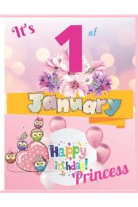 It's 1st January Happy Birthday Princess Notebook Journal