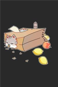 Lazy Cat Notebook